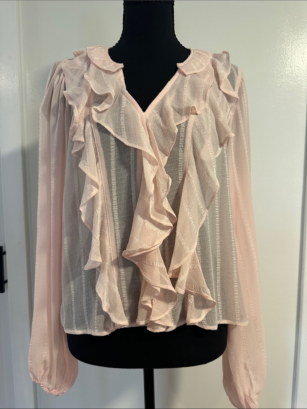 Sheer Ruffle V-Neck Blouse - Pale Pink